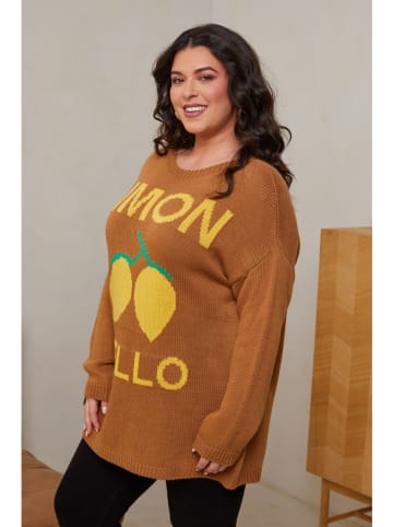 Curvy Lady Pullover in Hellbraun