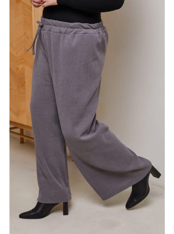 Curvy Lady Cordhose in Grau