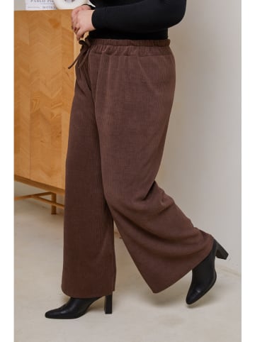 Curvy Lady Cordhose in Dunkelbraun