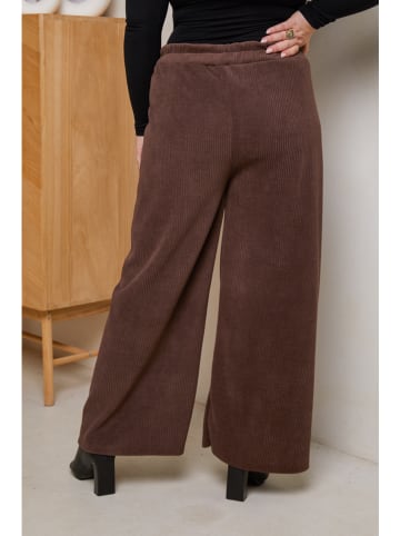 Curvy Lady Cordhose in Dunkelbraun