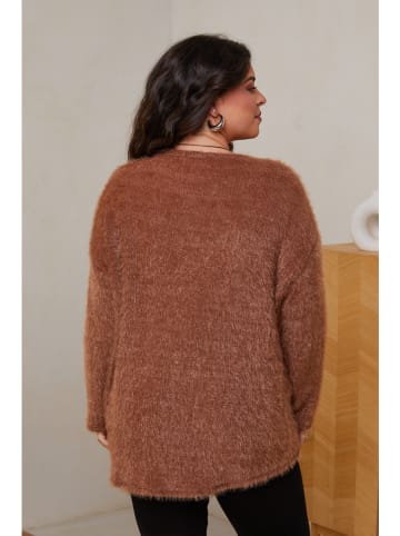 Curvy Lady Trui lichtbruin