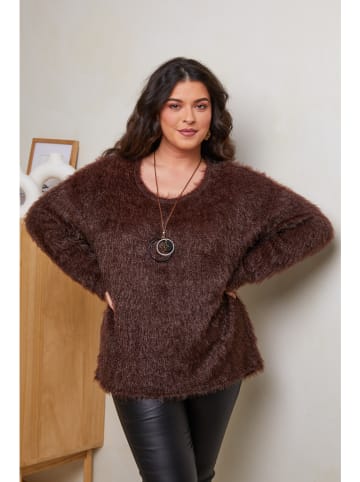 Curvy Lady Pullover in Dunkelbraun