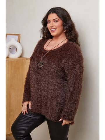 Curvy Lady Trui donkerbruin