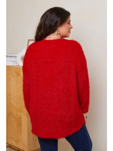 Curvy Lady Trui rood