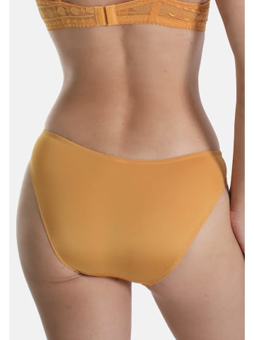 Sassa Slip in Orange