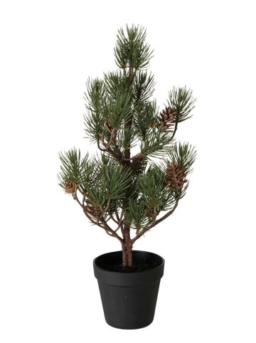Boltze Dekoracyjna choinka w kolorze zielonym - wys. 53 x Ø 20 cm