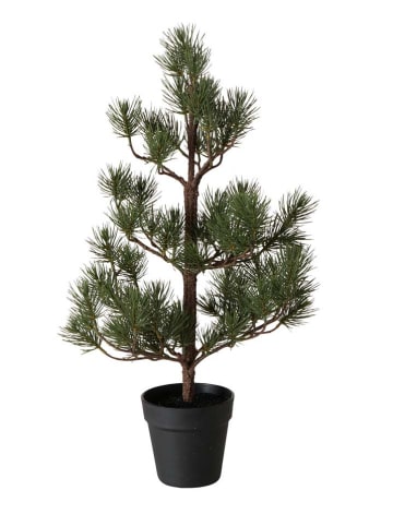 Boltze Dekobaum "Kiefer" in Grün - (H)68 x Ø 35 cm