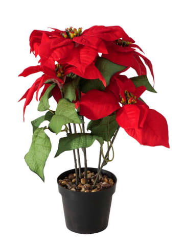 Boltze Kunstplant "Weihnachtsstern" rood - (H)40 x Ø 30 cm