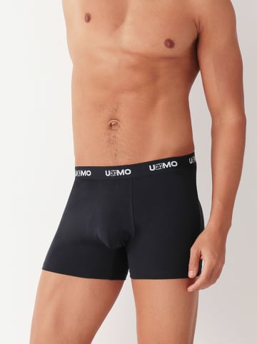 COTONELLA Boxershorts in Schwarz
