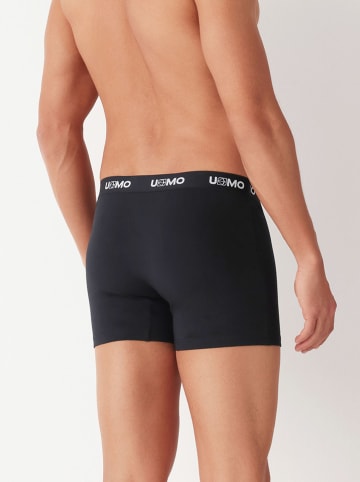 COTONELLA Boxershorts in Schwarz