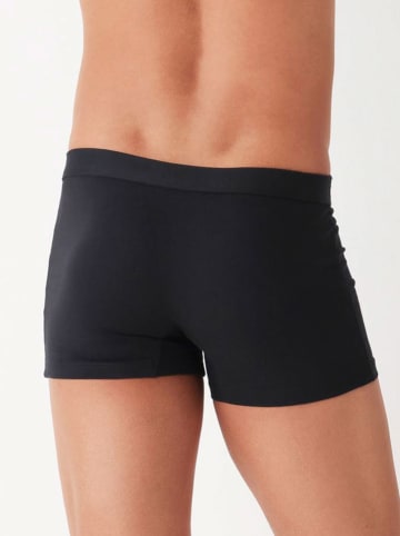 COTONELLA Boxershorts in Schwarz