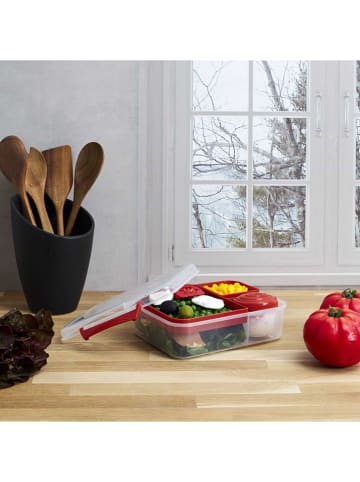COOK CONCEPT Pojemnik na lunch - 22 x 7,7 x 18 cm (produkt niespodzianka)