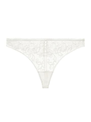 Aubade String in Creme