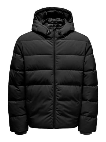 ONLY & SONS Steppjacke in Schwarz