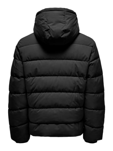 ONLY & SONS Steppjacke in Schwarz