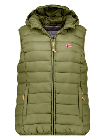 Geographical Norway Kamizelka pikowana "Vatikolor" w kolorze oliwkowym