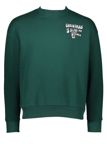 Sublevel Sweatshirt in Grün