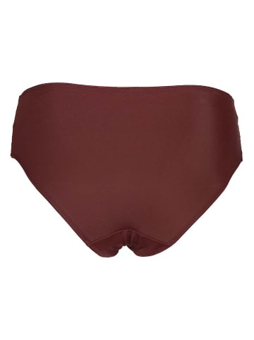 SUSA Slip bruin