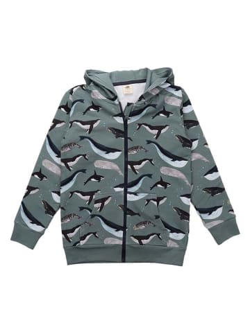 Walkiddy Sweatjacke in Grün