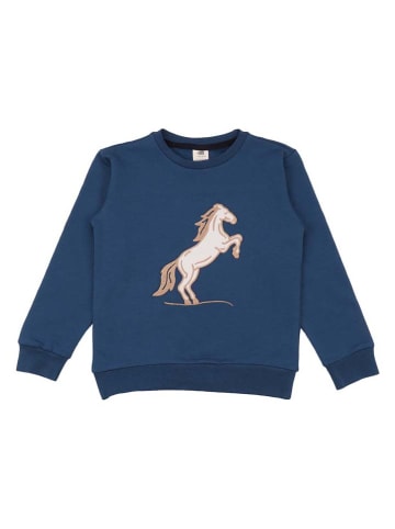 Walkiddy Sweatshirt in Dunkelblau