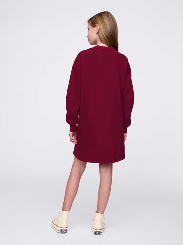 GAP Kleid in Bordeaux