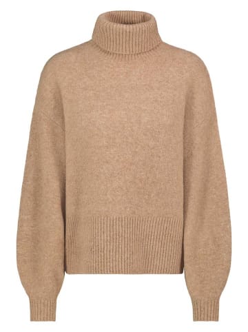Sublevel Coltrui camel