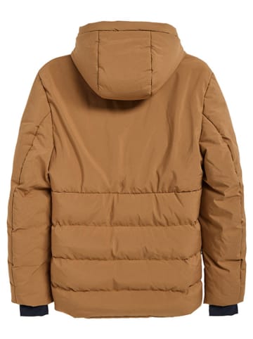 Polo Club Winterjacke in Camel
