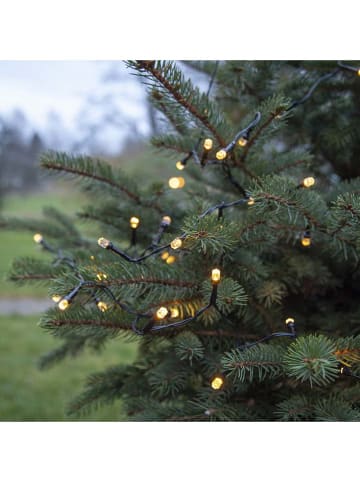 STAR Trading LED-Lichterkette in Warmweiß - (L)600 cm