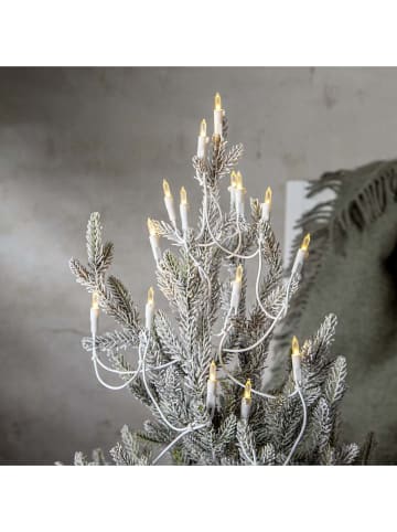 STAR Trading LED-Mini-Lichterkette in Warmweiß - (L)285 cm