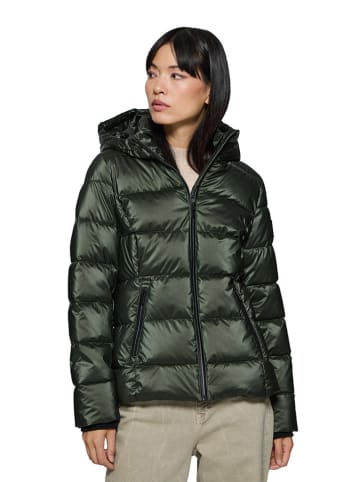 Polo Club Winterjacke in Dunkelgrün