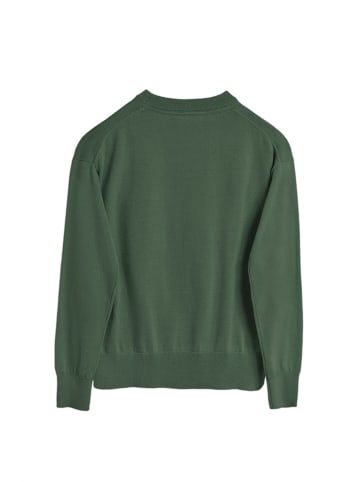 Polo Club Pullover in Grün