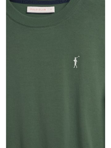 Polo Club Pullover in Grün