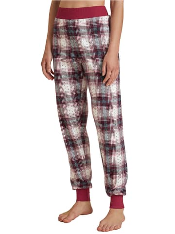 Calida Pyjama-Hose in Bordeaux/ Weiß