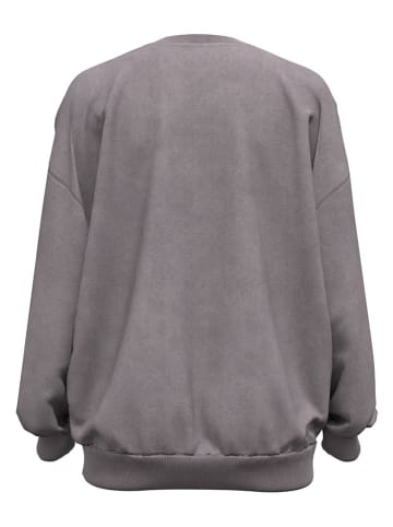 Under Armour Sweatshirt "UA Icon" in Grau
