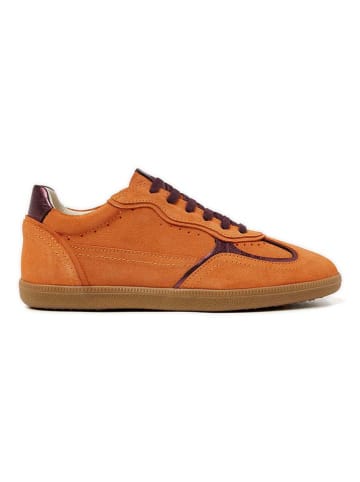 Lazamani Leder-Sneakers in Orange