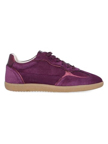 Lazamani Skórzane sneakersy w kolorze fioletowym