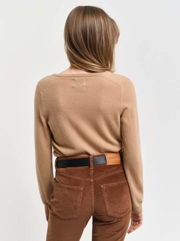 Gant Wollpullover in Camel