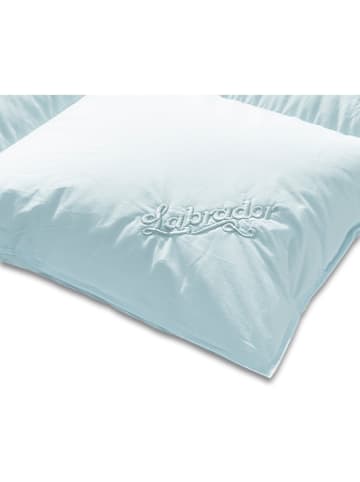 Sanders-Kauffmann Ganzjahres-Daunendecke ''Labrador'' in Hellblau - (L)200 x (B)155 cm