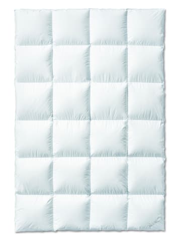 Sanders-Kauffmann Winter-Daunendecke ''Labrador'' in Hellblau - (L)200 x (B)135 cm