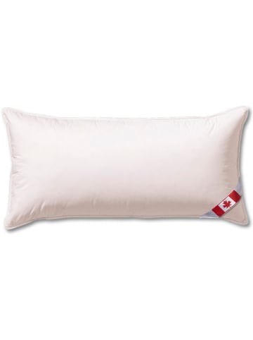 Sanders-Kauffmann Daunenkissen "Canada" in Weiß - (L)40 x (B)80 cm
