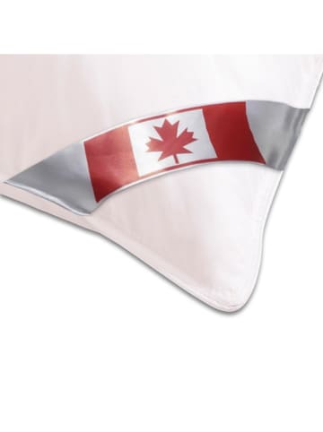 Sanders-Kauffmann Daunenkissen "Canada" in Weiß - (L)40 x (B)80 cm