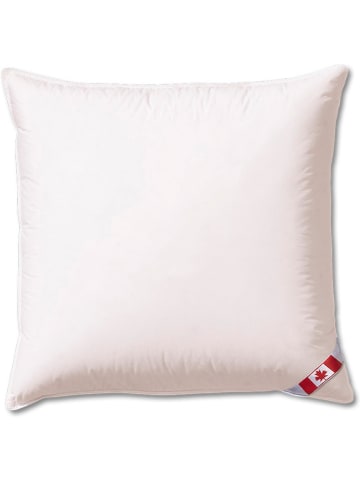 Sanders-Kauffmann Daunenkissen "Canada" in Weiß - (L)80 x (B)80 cm