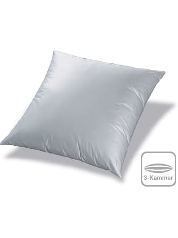 Sanders-Kauffmann Daunen-Kammerkissen "Schneegans" in Weiß - (L)80 x (B)80 cm