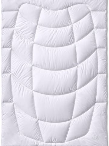 Sanders-Kauffmann Sommer-Kamelhaardecke in Weiß - (L)220 x (B)155 cm