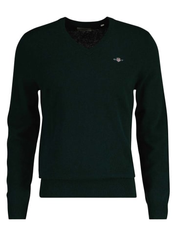 Gant Wollpullover in Dunkelgrün