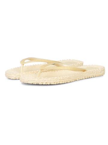Ilse Jacobsen Zehentrenner in Creme