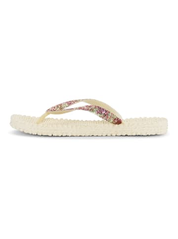 Ilse Jacobsen Zehentrenner in Creme