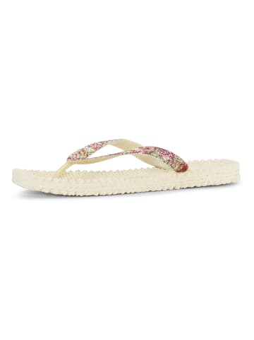 Ilse Jacobsen Zehentrenner in Creme
