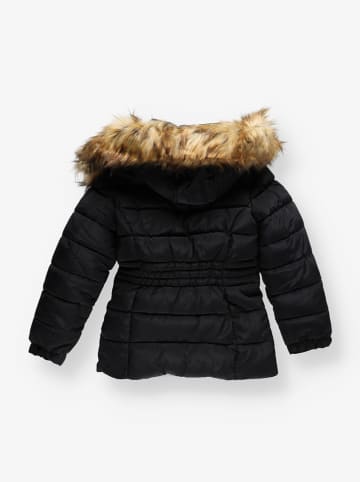 Steve Madden Winterjas zwart