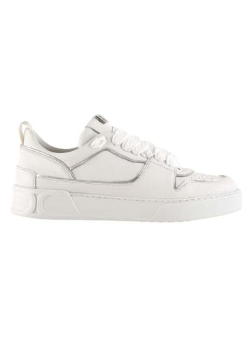 Högl Leder-Sneakers "Macba Seven" in Weiß